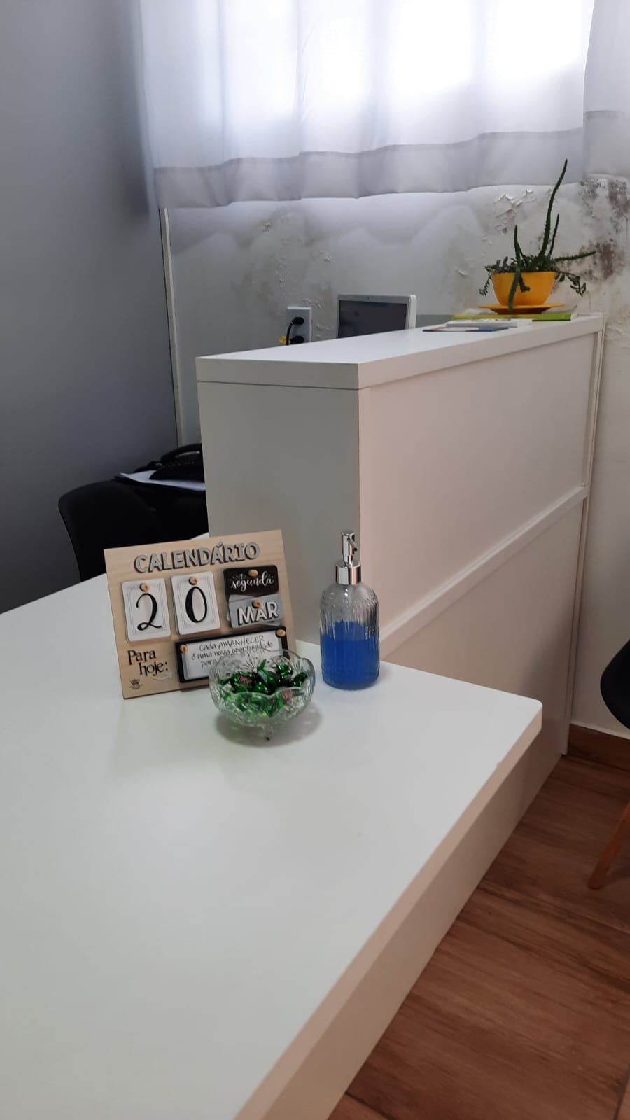 Clinica de fisioterapia em brasilia 7
